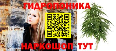 мдма Дмитров