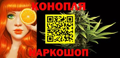 мдпв Долгопрудный