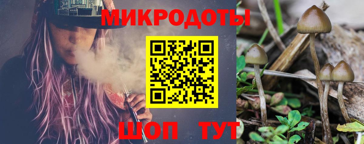 Псилоцибиновые грибы GOLDEN TEACHER  Вход с VPN  Скопин 